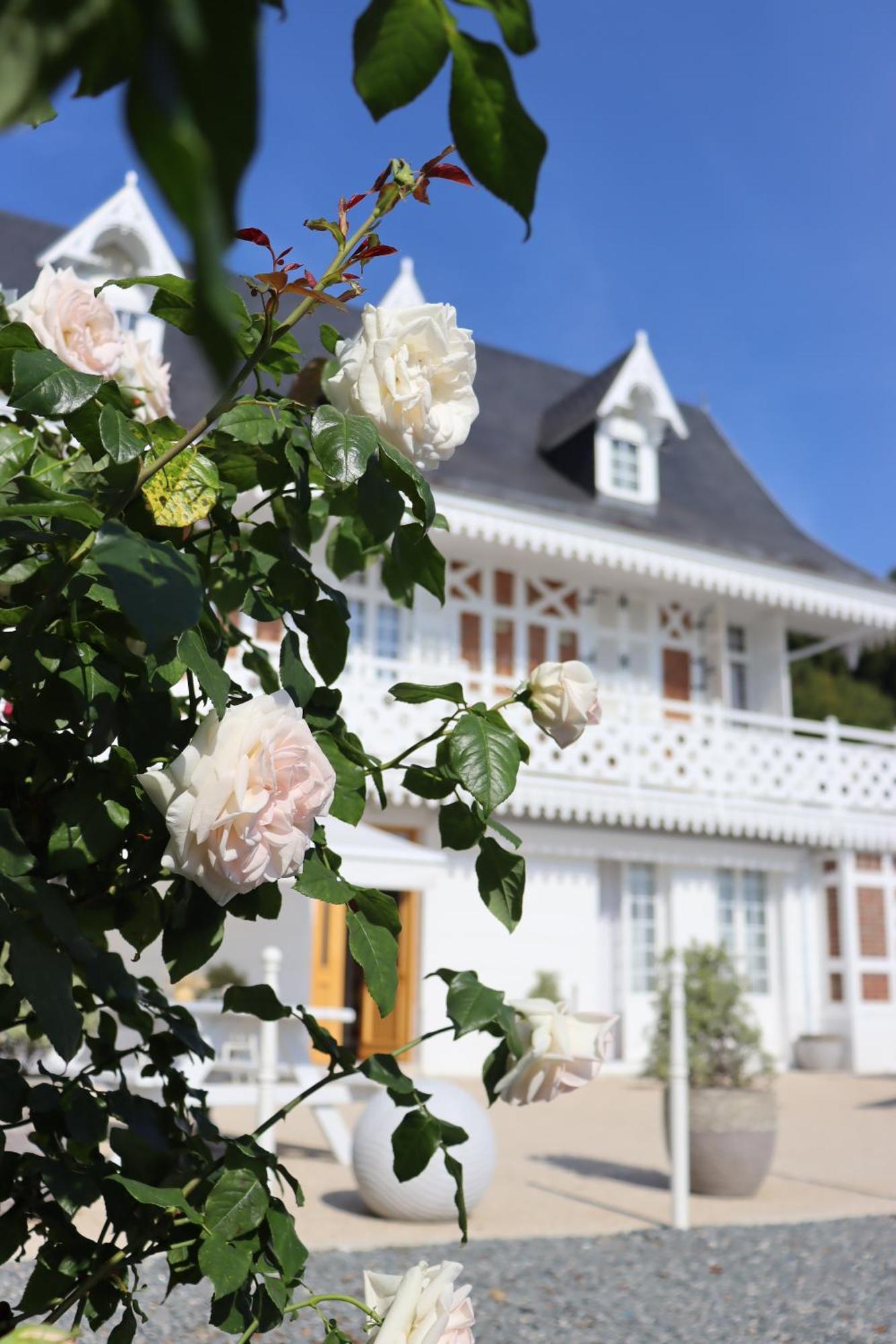 White House, Maison D'Hotes Hotell Villequier Exteriör bild